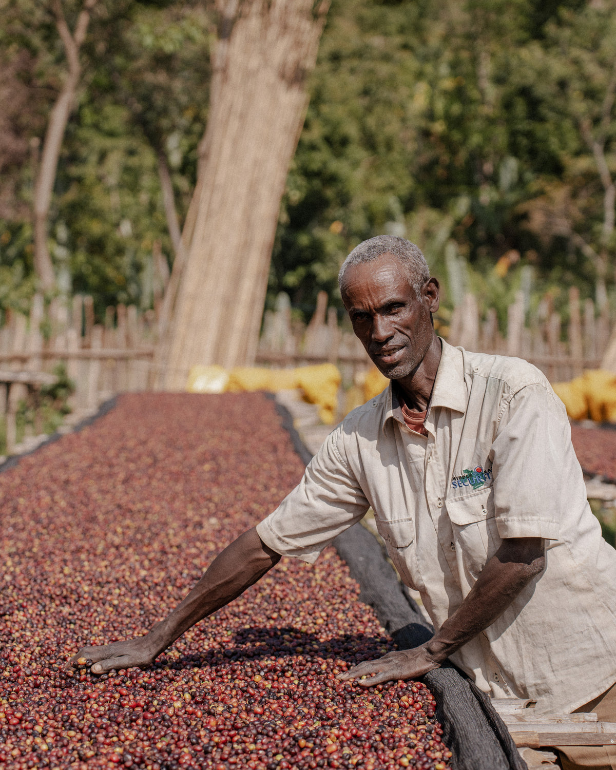 Ethiopia Abore